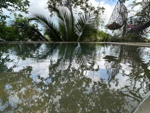 El Mirador y el Nido