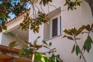 Les Suites Magnolia img99