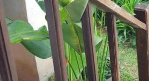 Pai River Villa Resort