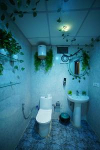 Luxurious 1BHK with City View