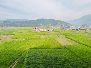 SHISH KAMAL HOMESTAY Hotel