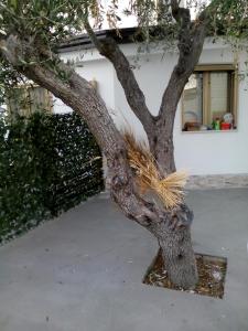 Holiday Home room in Marechiaro