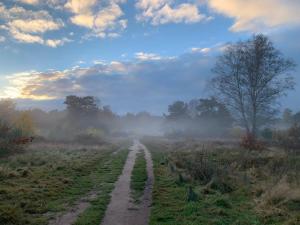 Villa Veluwe