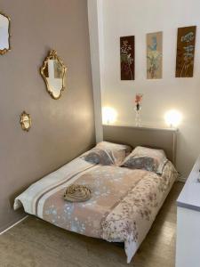 Albi-Suite