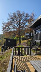 Nomad Hill Cabins