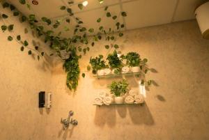 Spectrum Mall 1BHK Balcony Suite