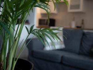 1 Bed in Redcar oc-75726