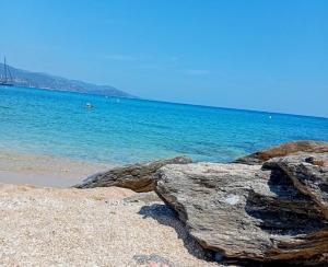 Grand T3, 2 pas de la Plage - Terrasse et Plancha