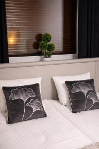 Apartament Dolina Baryczy -ścieżki rowerowe