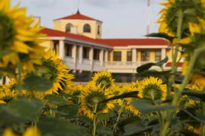 Complex Villas Kaliakra & Gradina