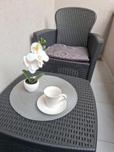 Apartman Fortuna Centar