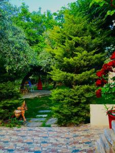 Villa Aggeliki
