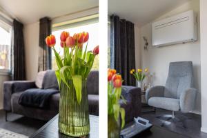 Zonneschijn, bungalow op vakantiepark bij zee