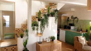 Le Botanique - 15 min Paris et Stade de France - 50m2 - 2 chambres