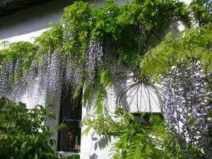 B&B / Chambres d'hotes La Colline des Roses : photos des chambres