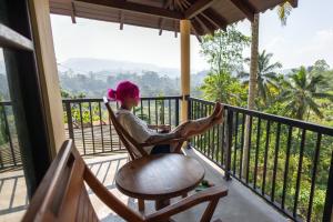 Rainforest Hide View