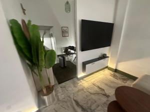 Budva center residence