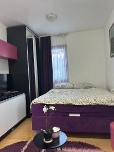 Apartman Boskovic K13 A12
