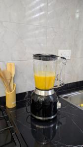 MielzColored Apartment