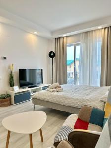 Anturium Studio #Otopeni #freePool