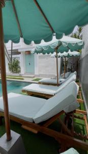 Kaktus Boutique Apartments Bali - ADULTS ONLY