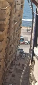 ميامي الاسكندريه تري البحر
