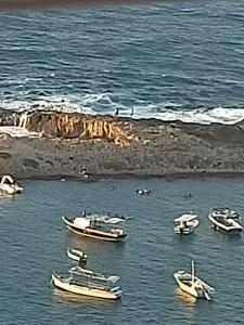 ميامي الاسكندريه تري البحر