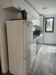 Fani 2