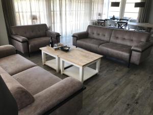 Luxe Duinvilla Stern met sauna voor 8 personen nabij strand en dorp Nes