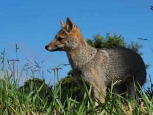 Riviera de Santa Cristina XIII | Casas Exclusivas na Represa