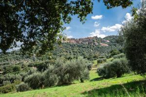 IL MELOGRANO, da CATIA