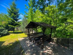 Квітка Закарпаття