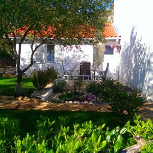 Apartments with garden