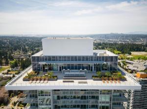 Sky Suite 2 BR in Central City & Rooftop Terrace