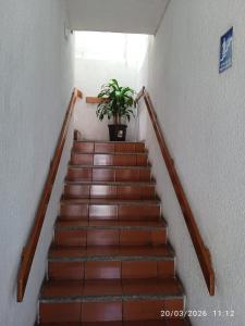 Hospedaje Las Garzas