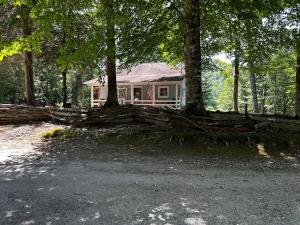 The Fox Den, A Rustic Log Cabin near GSMNP & NNF