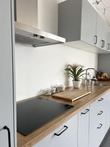 Charming Cottage in Bordeaux Vineyards