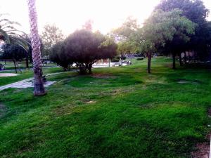 Flat via Irlanda 26 img11