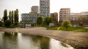 Balcony - Central - Large - Modern