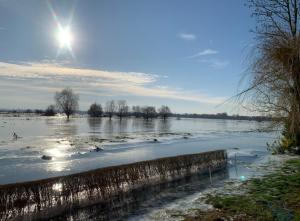 Les 3 Roseaux- gîte au cœur du marais audomarois