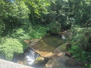 Casa Pocinho de Muriqui