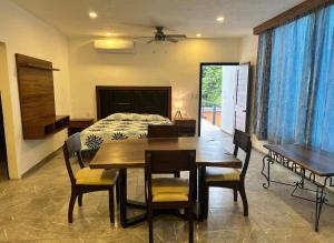 En Tamasopo Suite Cosmos #1