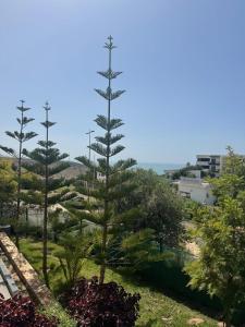 Dar Imi Ouaddar - Sea View