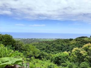 LiRi 4 Bdrm Villa - Ocean, Valley view