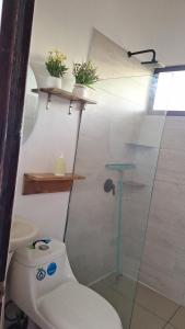 Ziba House