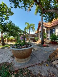 Homestay Phố biển cam bình