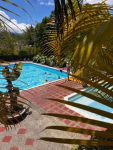 Natural Luxury Birding Lodge - Premium Birdwatching near Cali