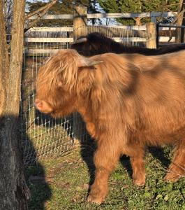 Gettysburg Farmstead Farm-Stays