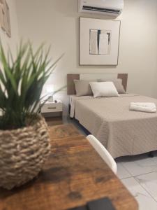 Lodge Ayla Punta Mango