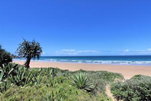 Horizons Unit 2 Beachfront Unit